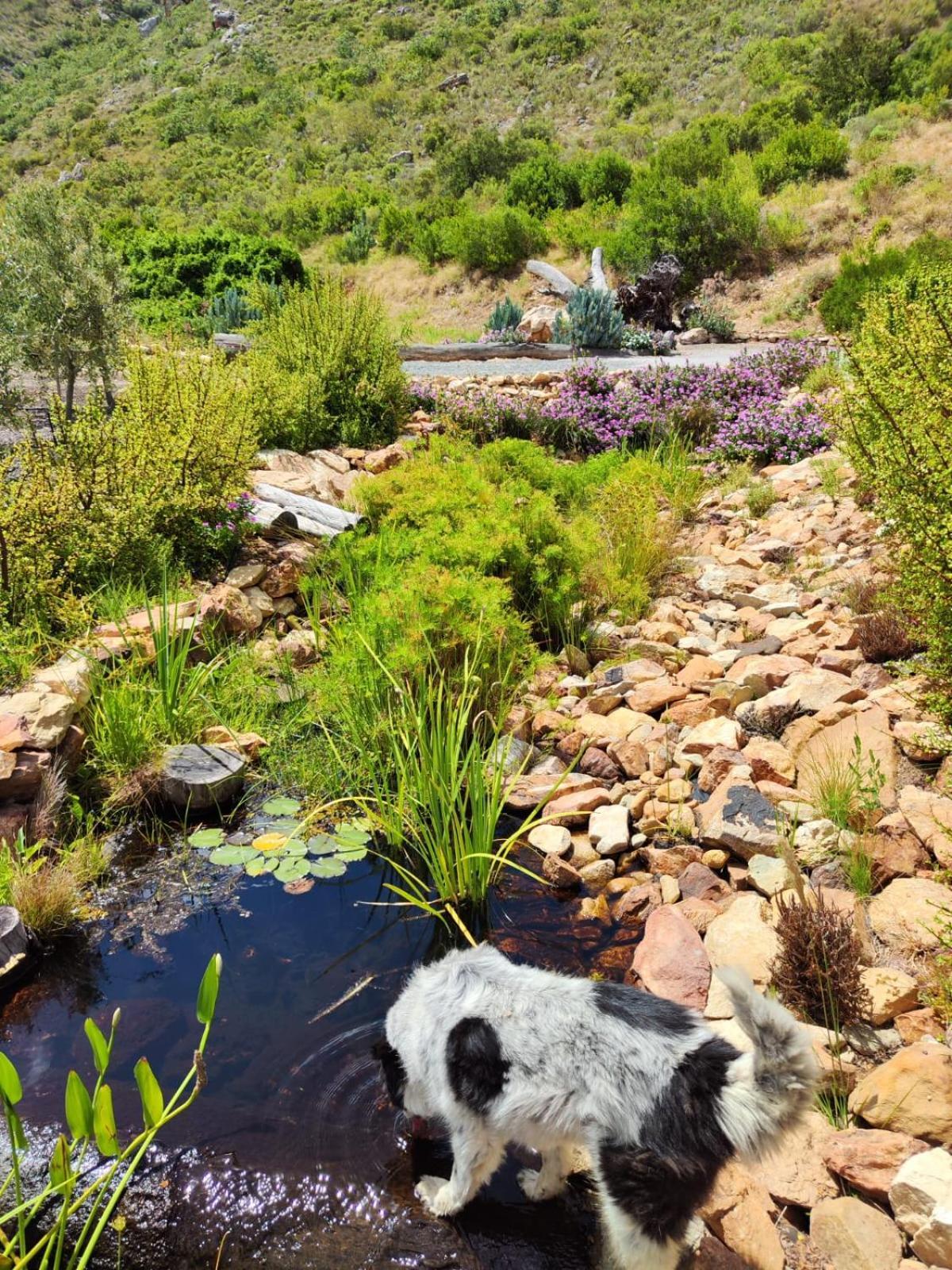 Roodekloof Apartment Montagu Bagian luar foto