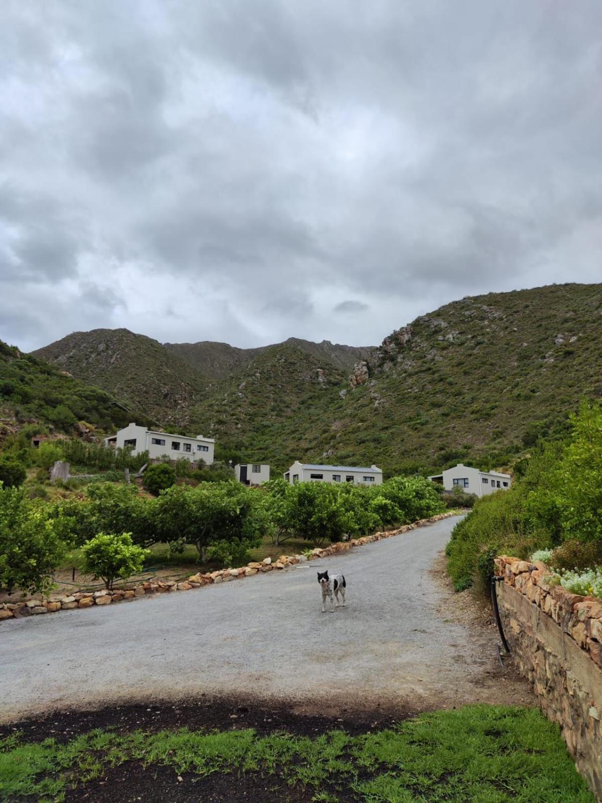 Roodekloof Apartment Montagu Bagian luar foto